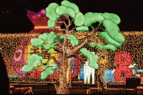 Jinju Namgang Lantern Festival 2025 |
