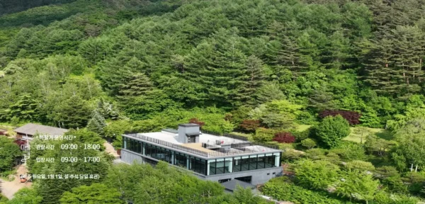 Seoul October Travel 2025