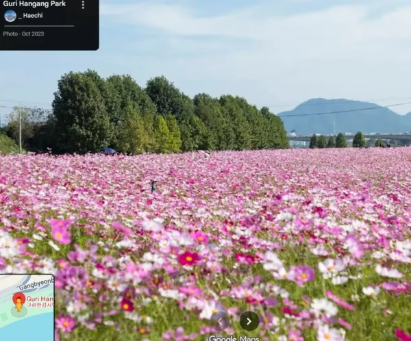 Seoul October Travel 2025