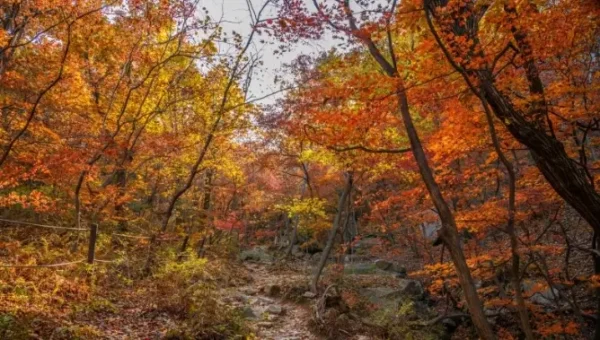Seoul Autumn Hiking