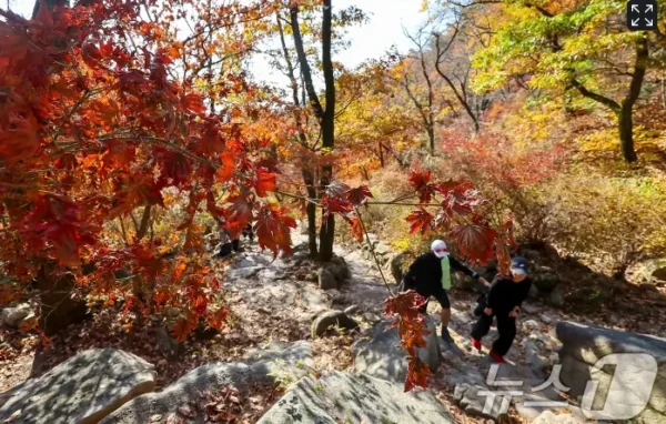 Seoul Autumn Hiking