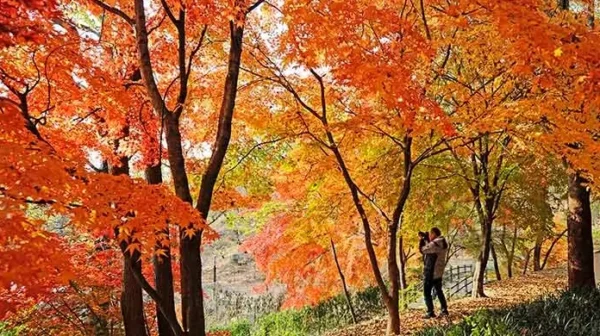 Seoul Autumn Hiking - Achasan
