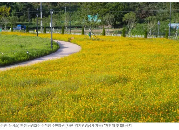 Seoul October Travel 2025