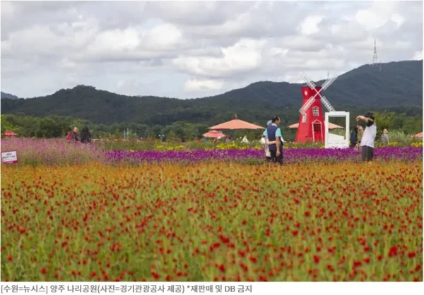 Seoul October Travel 2025