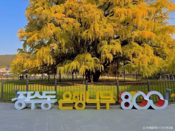 Hidden Autumn Spots in Incheon