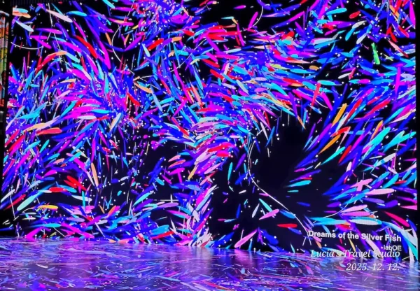 Seoul Light Gwanghwamun 2025