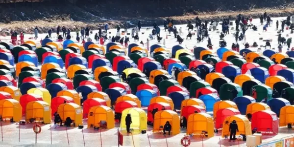 Pyeongchang Trout Festival