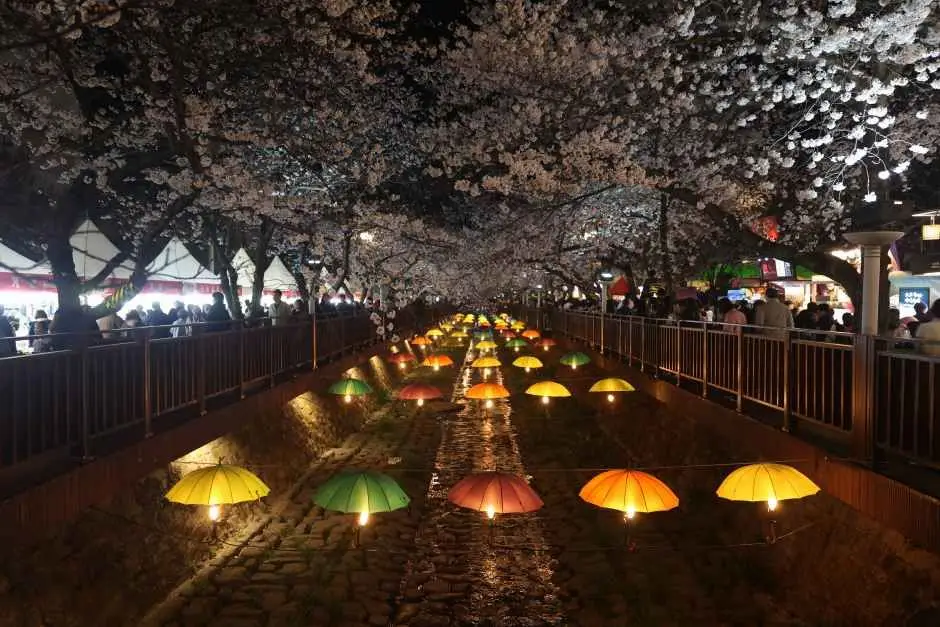 Korea Spring Festivals - Jinhae Gunhangje