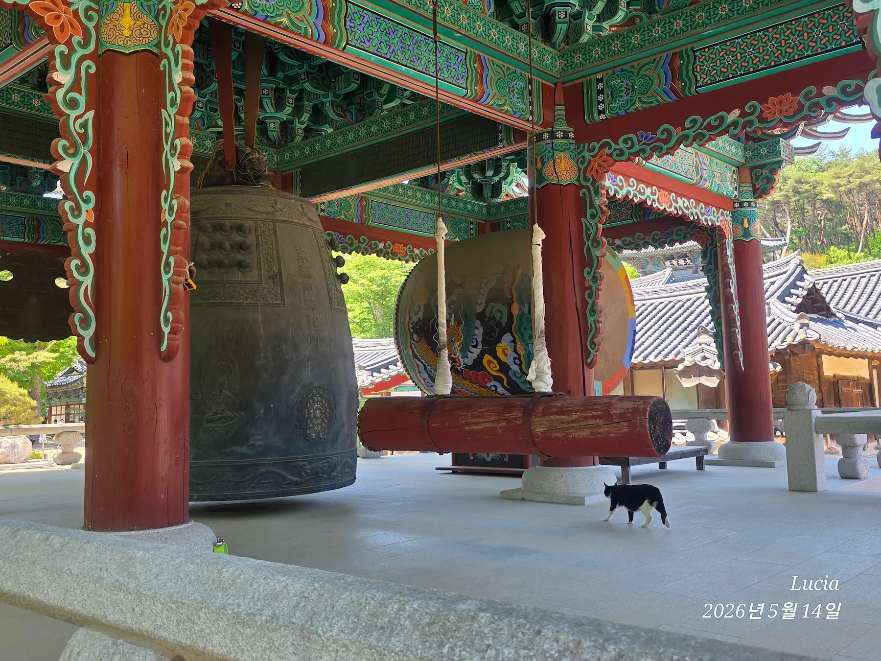 Magoksa Temple: Korea's Most Breathtaking UNESCO Heritage Site | Gongju Travel Guide