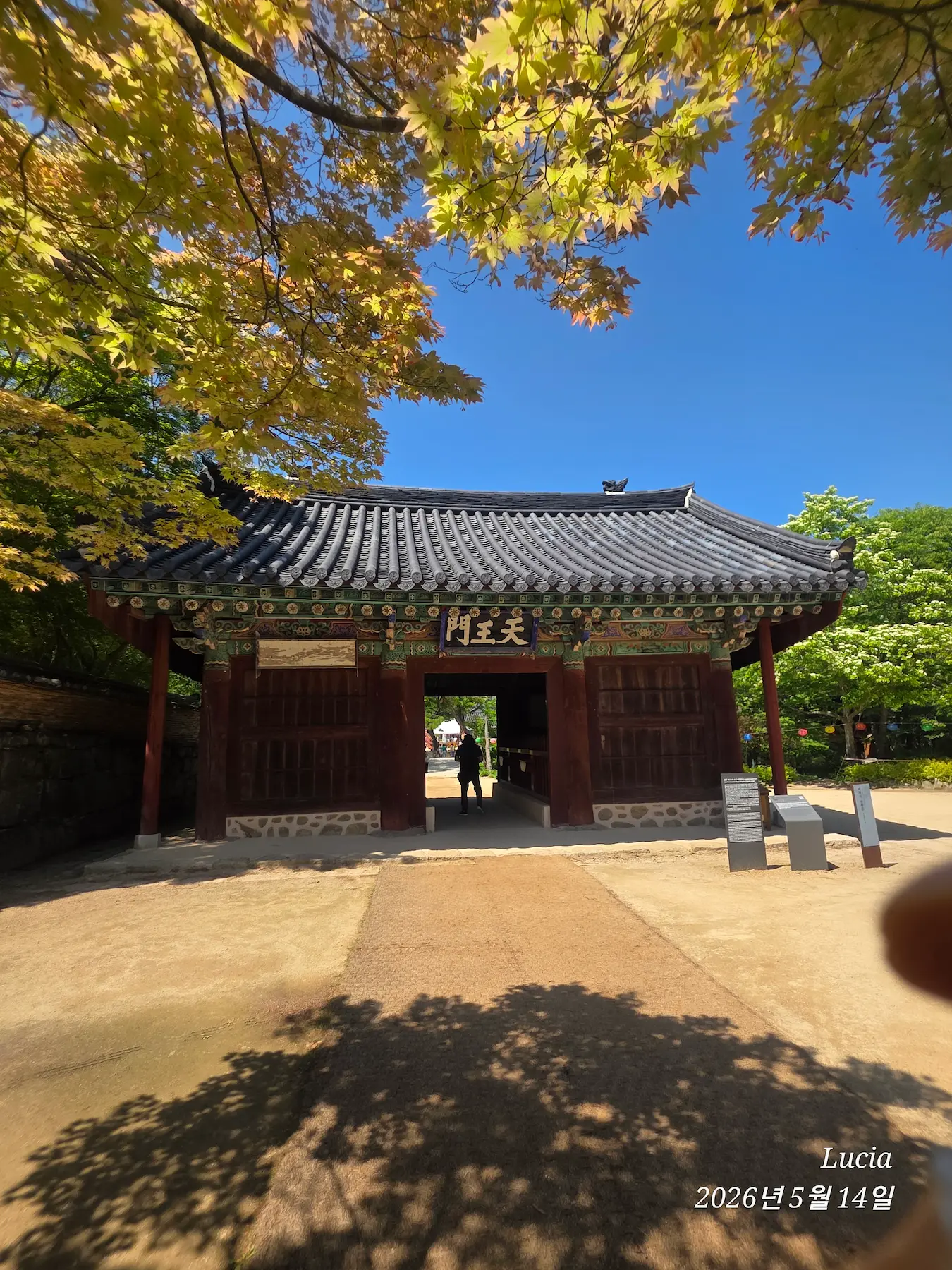 Magoksa Temple: Korea's Most Breathtaking UNESCO Heritage Site | Gongju Travel Guide