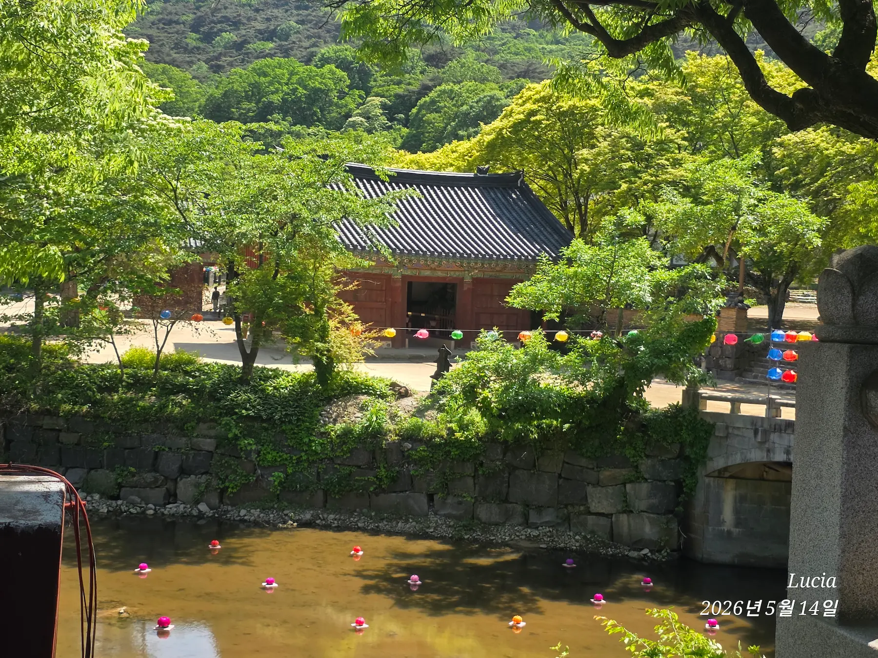 Magoksa Temple: Korea's Most Breathtaking UNESCO Heritage Site | Gongju Travel Guide
