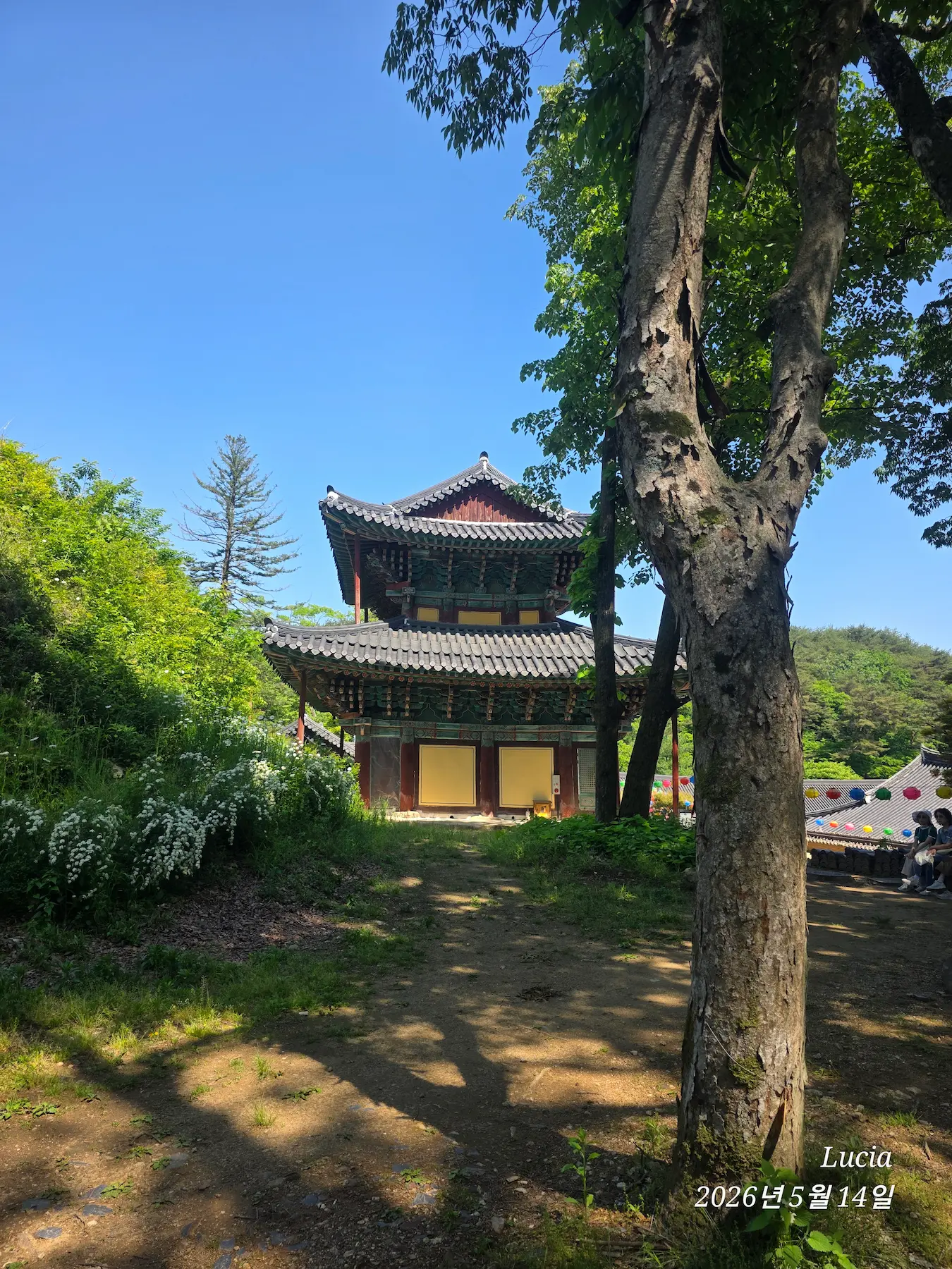Magoksa Temple: Korea's Most Breathtaking UNESCO Heritage Site | Gongju Travel Guide
