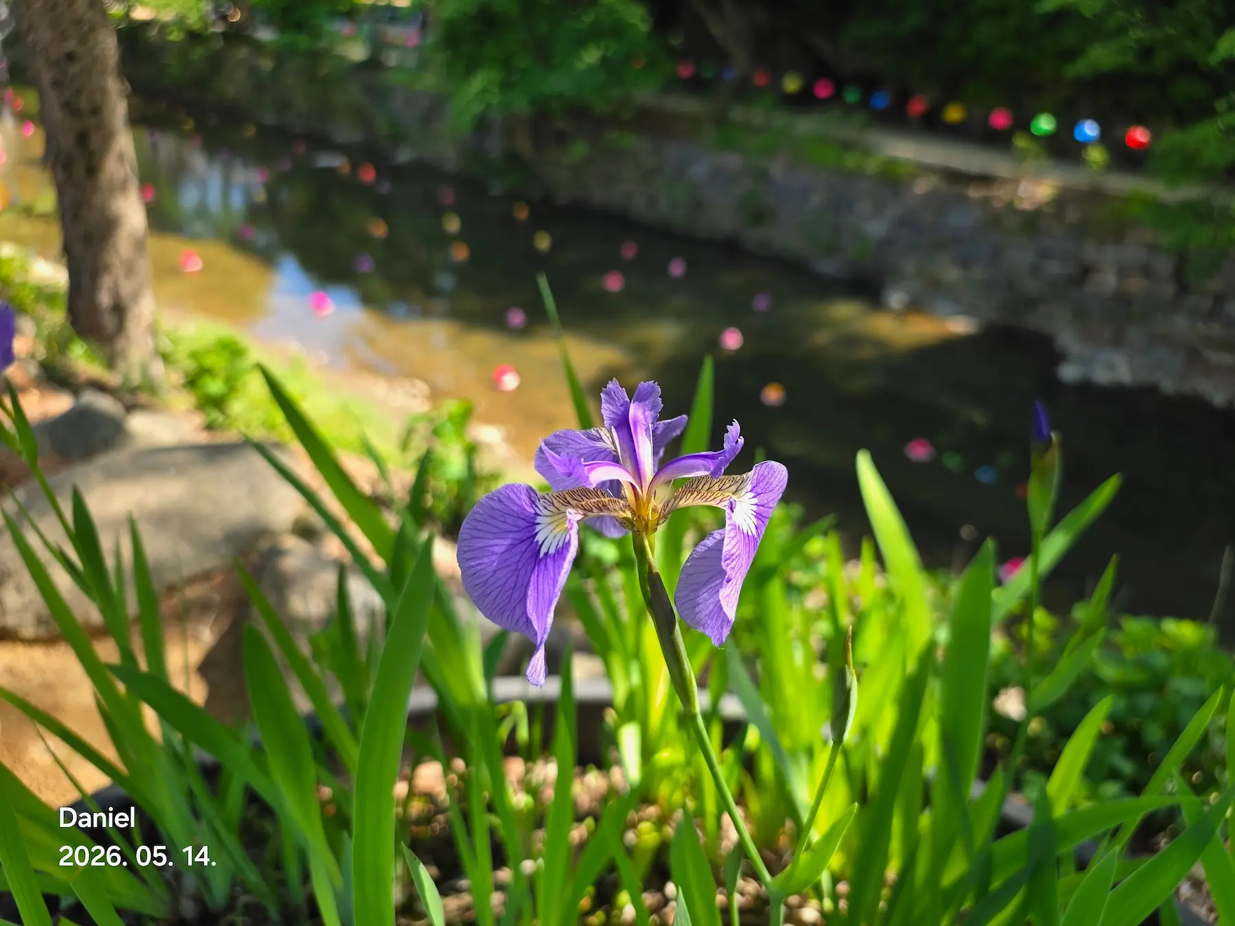 Magoksa Temple: Korea's Most Breathtaking UNESCO Heritage Site | Gongju Travel Guide