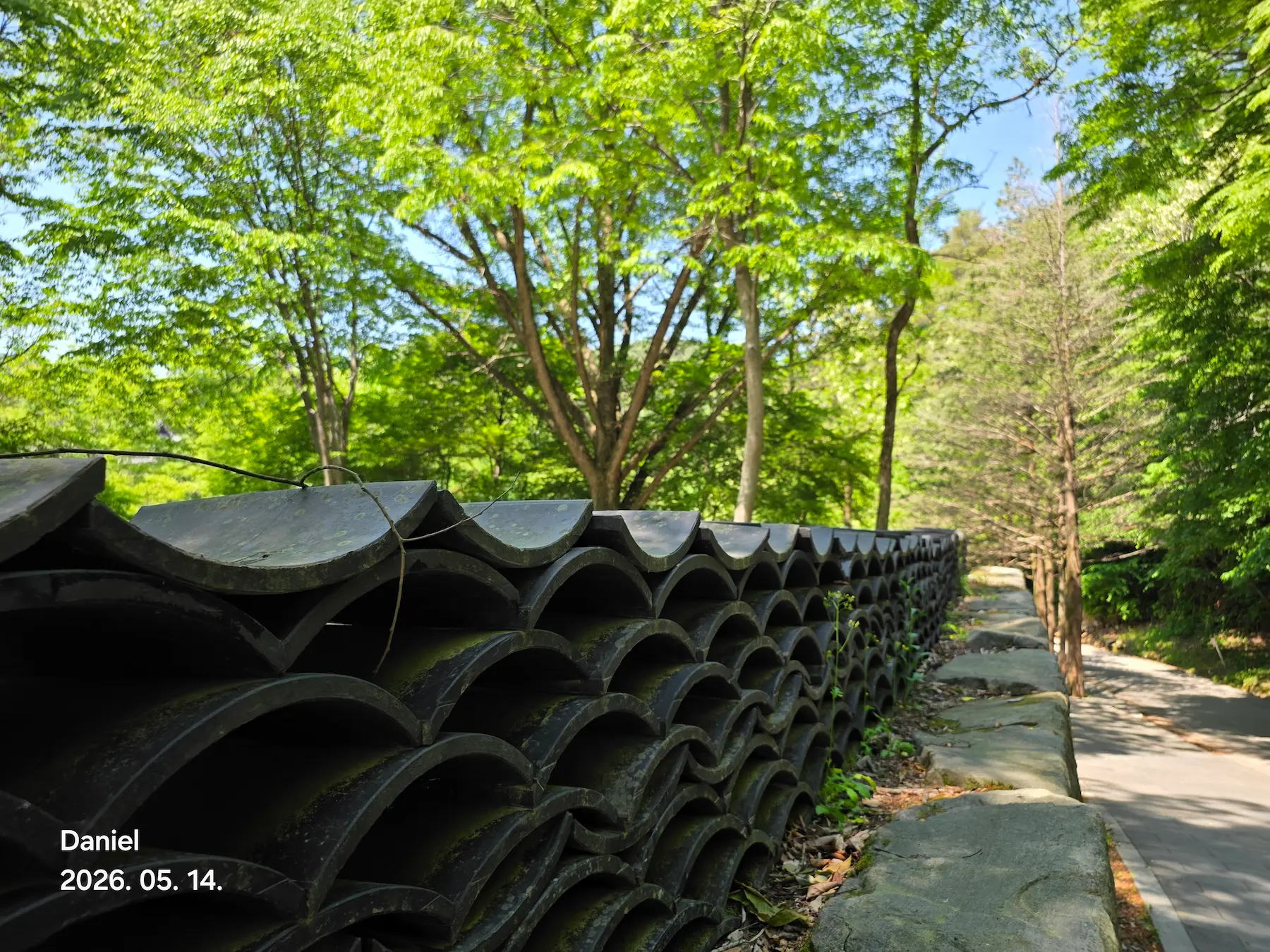 Magoksa Temple: Korea's Most Breathtaking UNESCO Heritage Site | Gongju Travel Guide