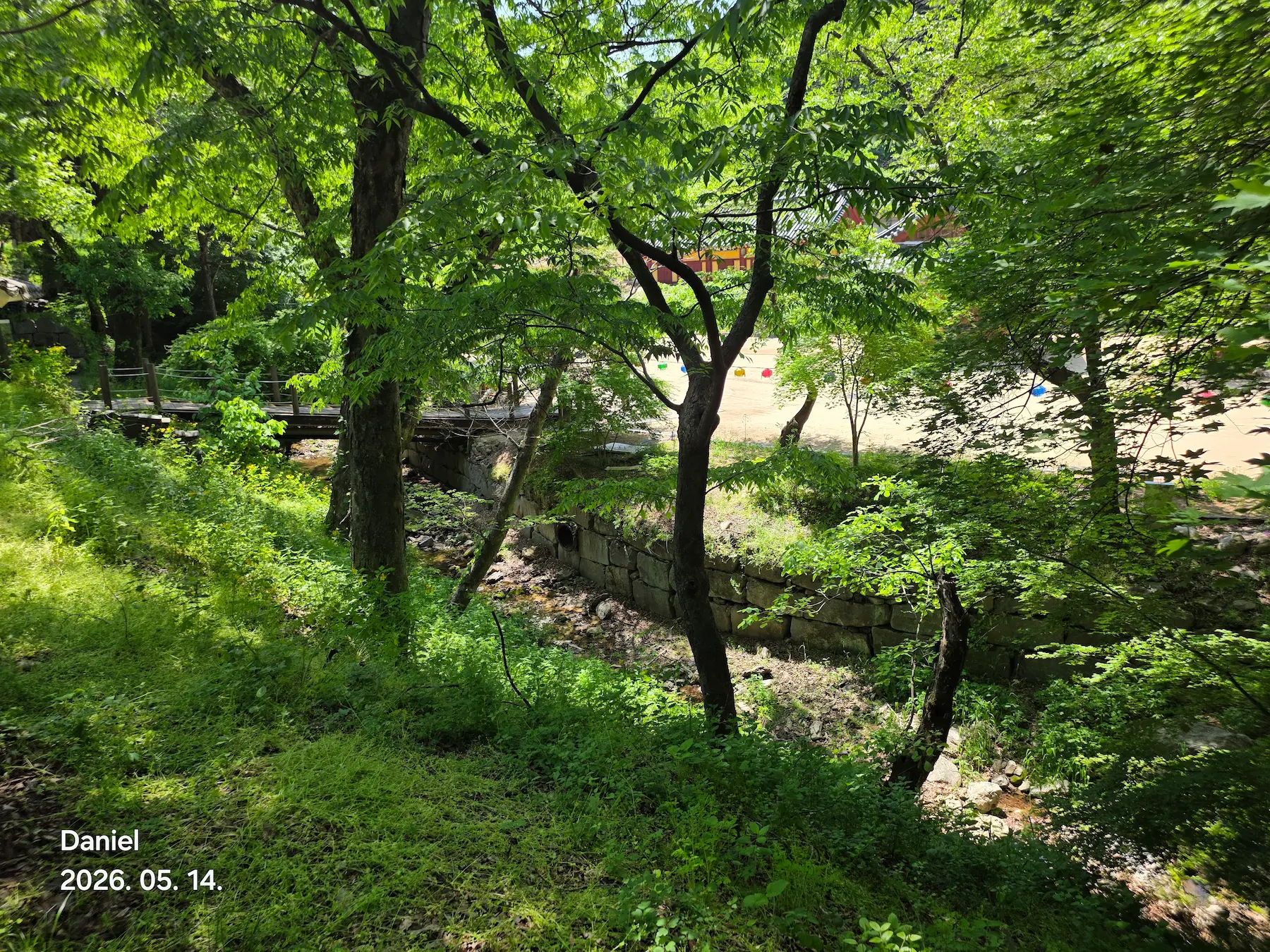 Magoksa Temple: Korea's Most Breathtaking UNESCO Heritage Site | Gongju Travel Guide