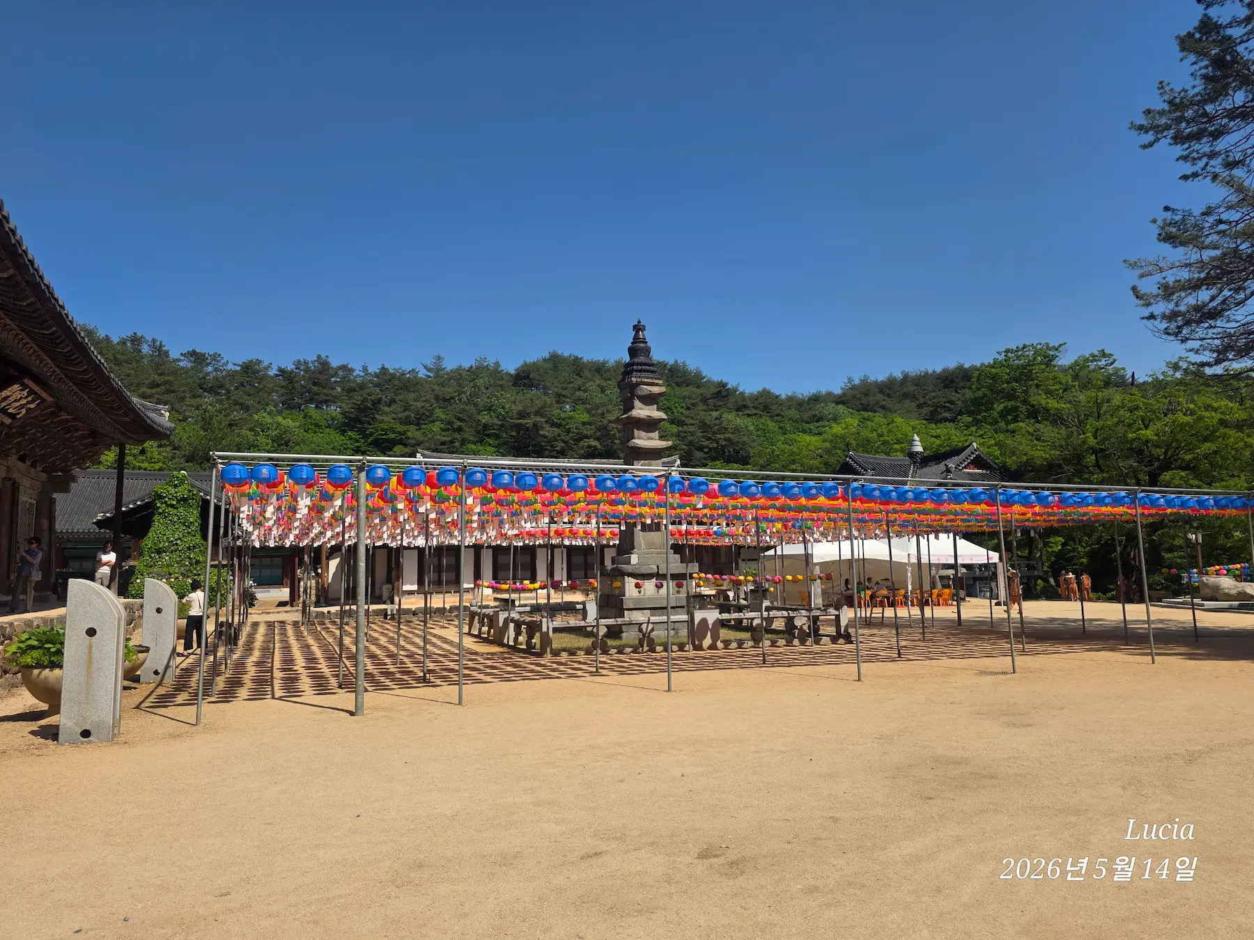 Magoksa Temple: Korea's Most Breathtaking UNESCO Heritage Site | Gongju Travel Guide
