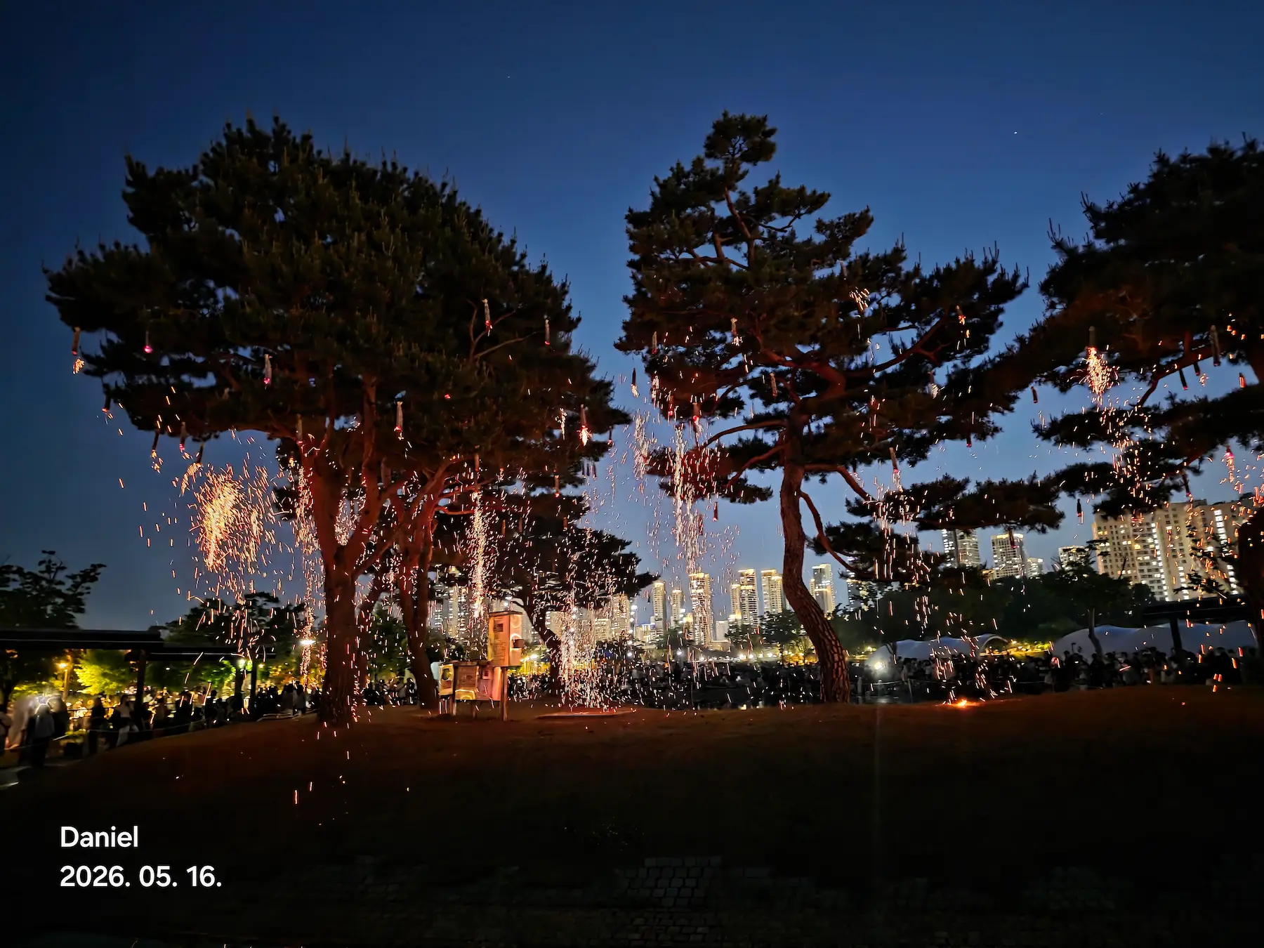 Sejong Nakhwa Festival
