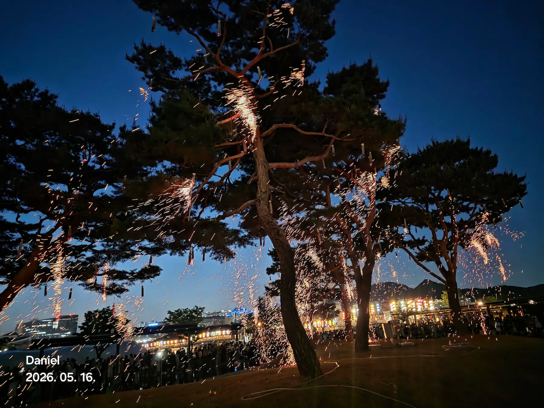 Sejong Nakhwa Festival