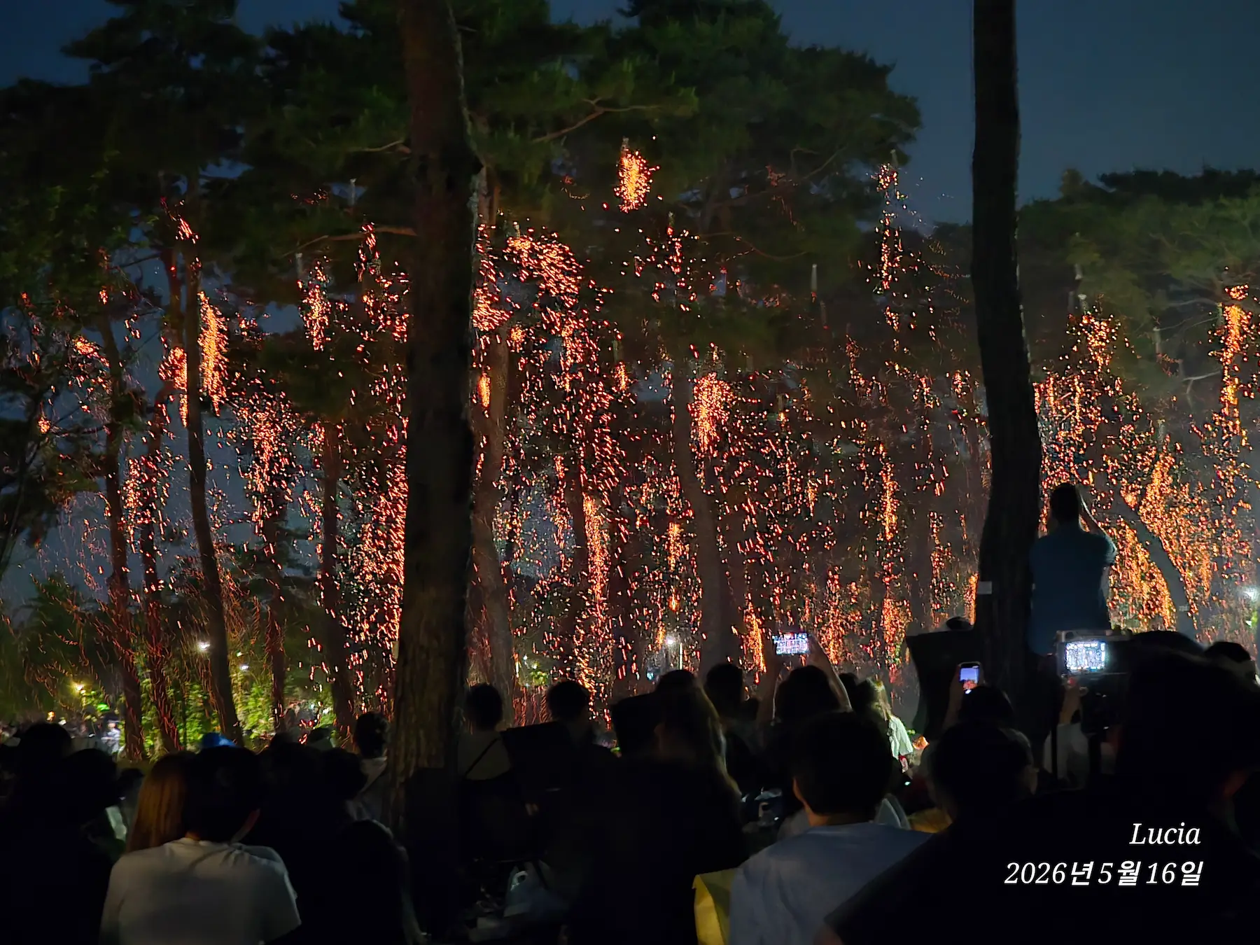 Sejong Nakhwa Festival