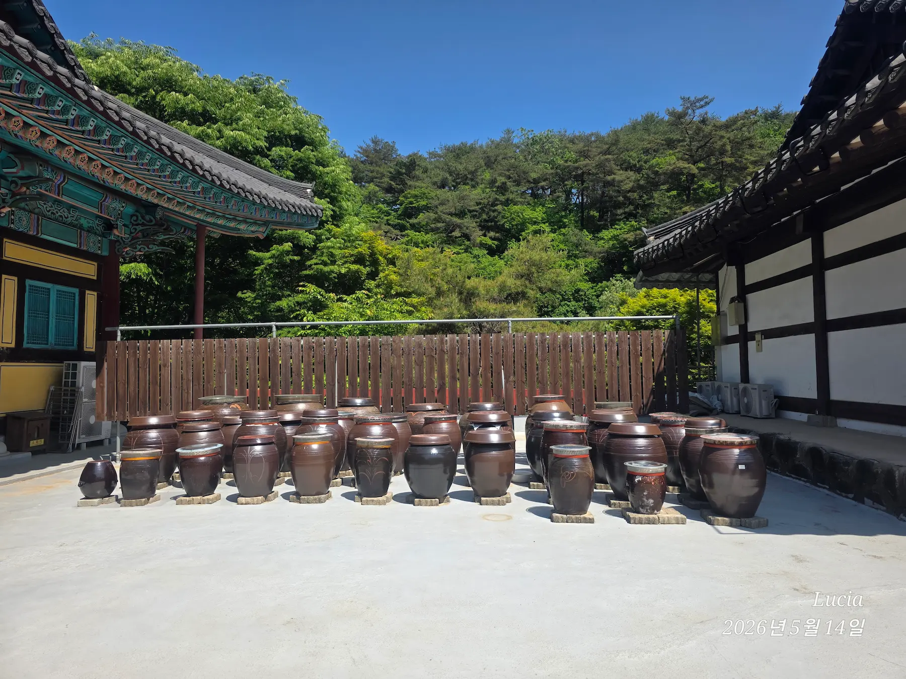 Magoksa Temple: Korea's Most Breathtaking UNESCO Heritage Site | Gongju Travel Guide