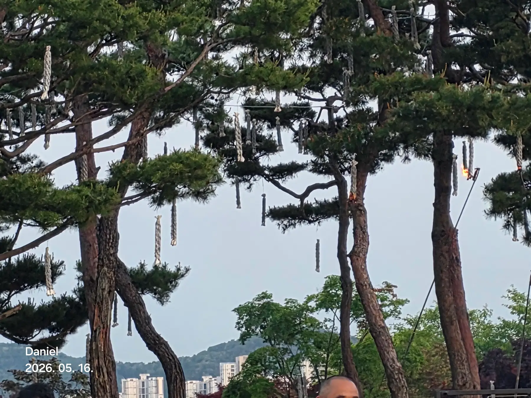 Sejong Nakhwa Festival