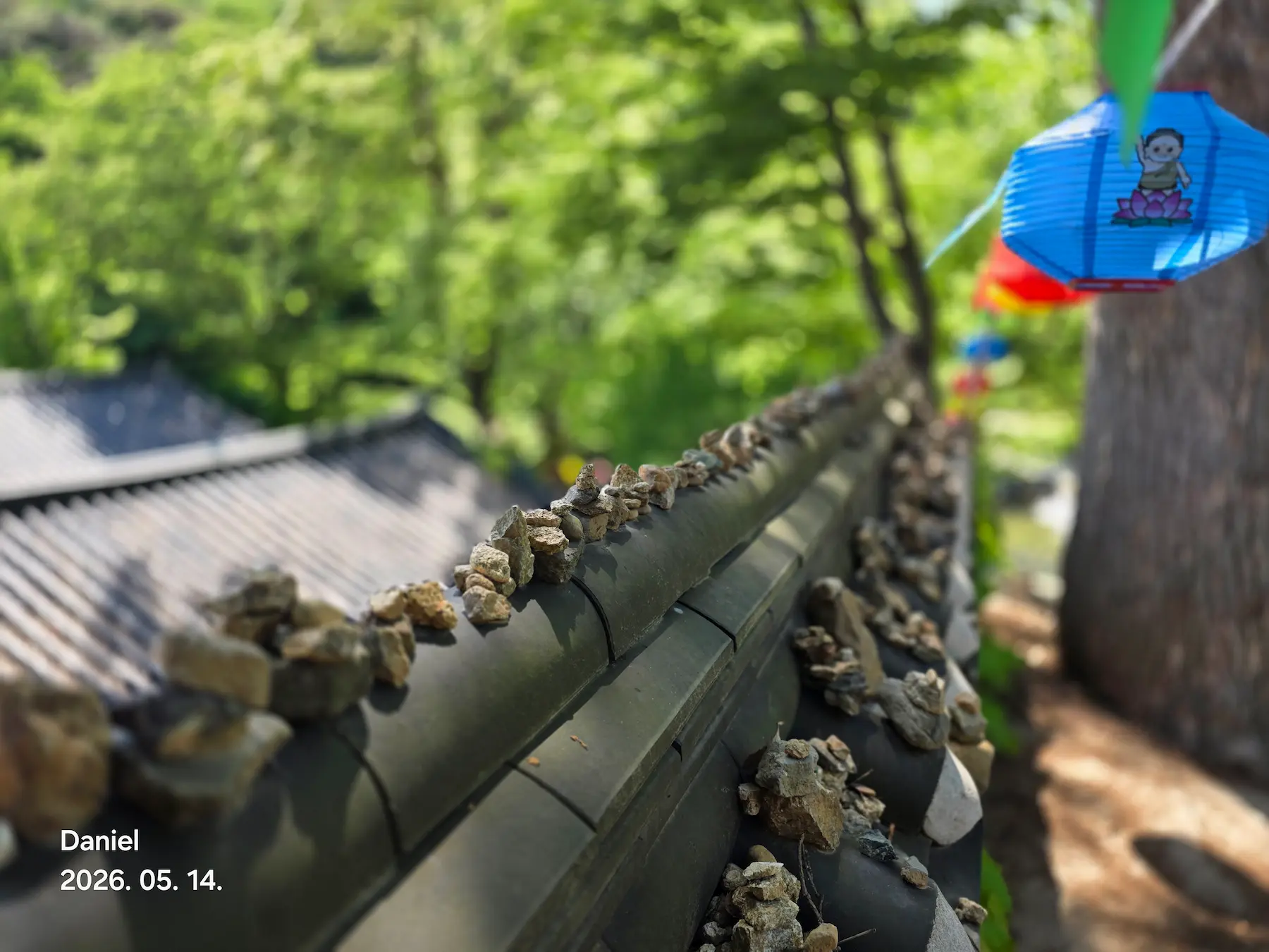 Magoksa Temple: Korea's Most Breathtaking UNESCO Heritage Site | Gongju Travel Guide
