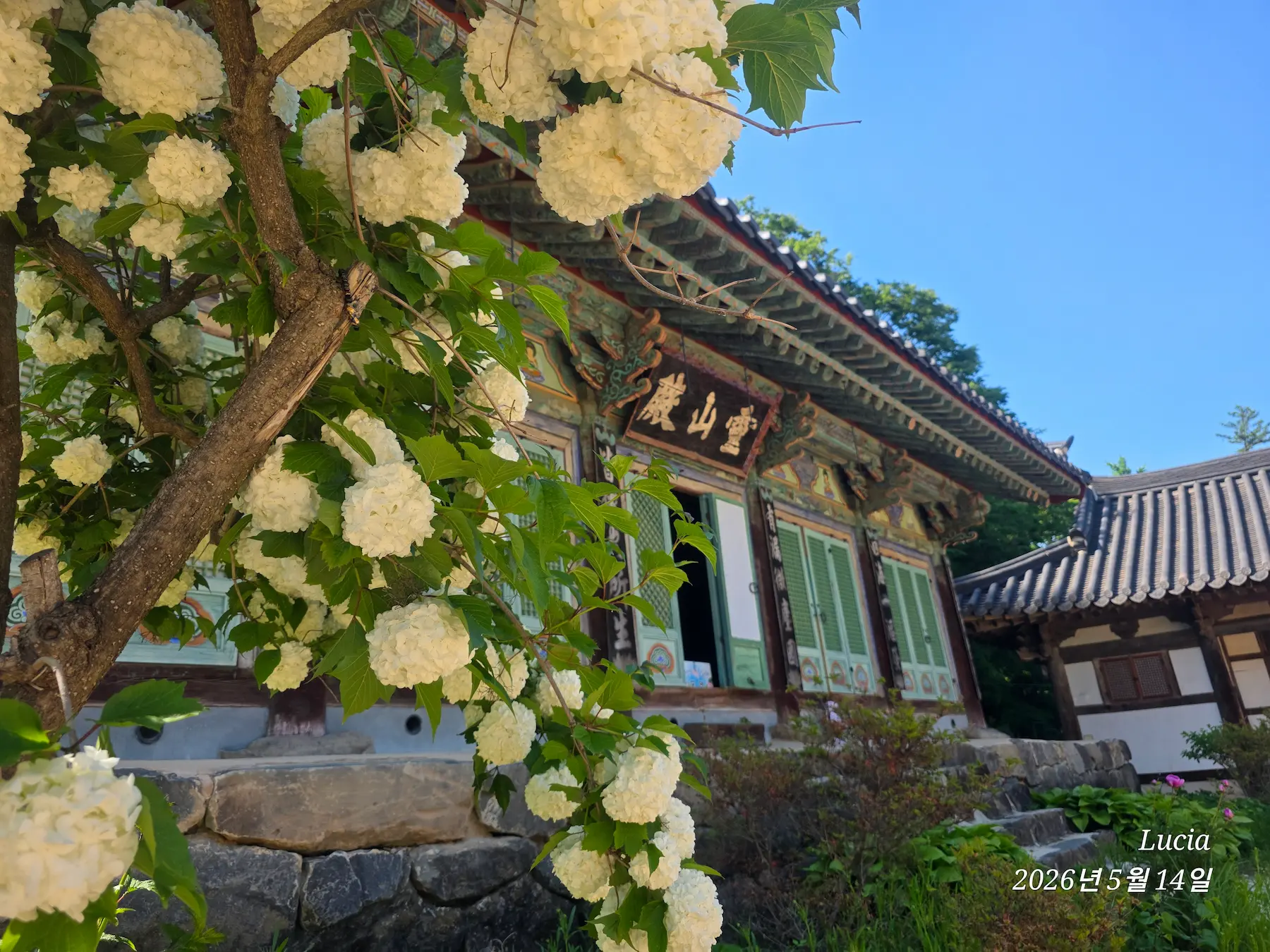 Korean Temple