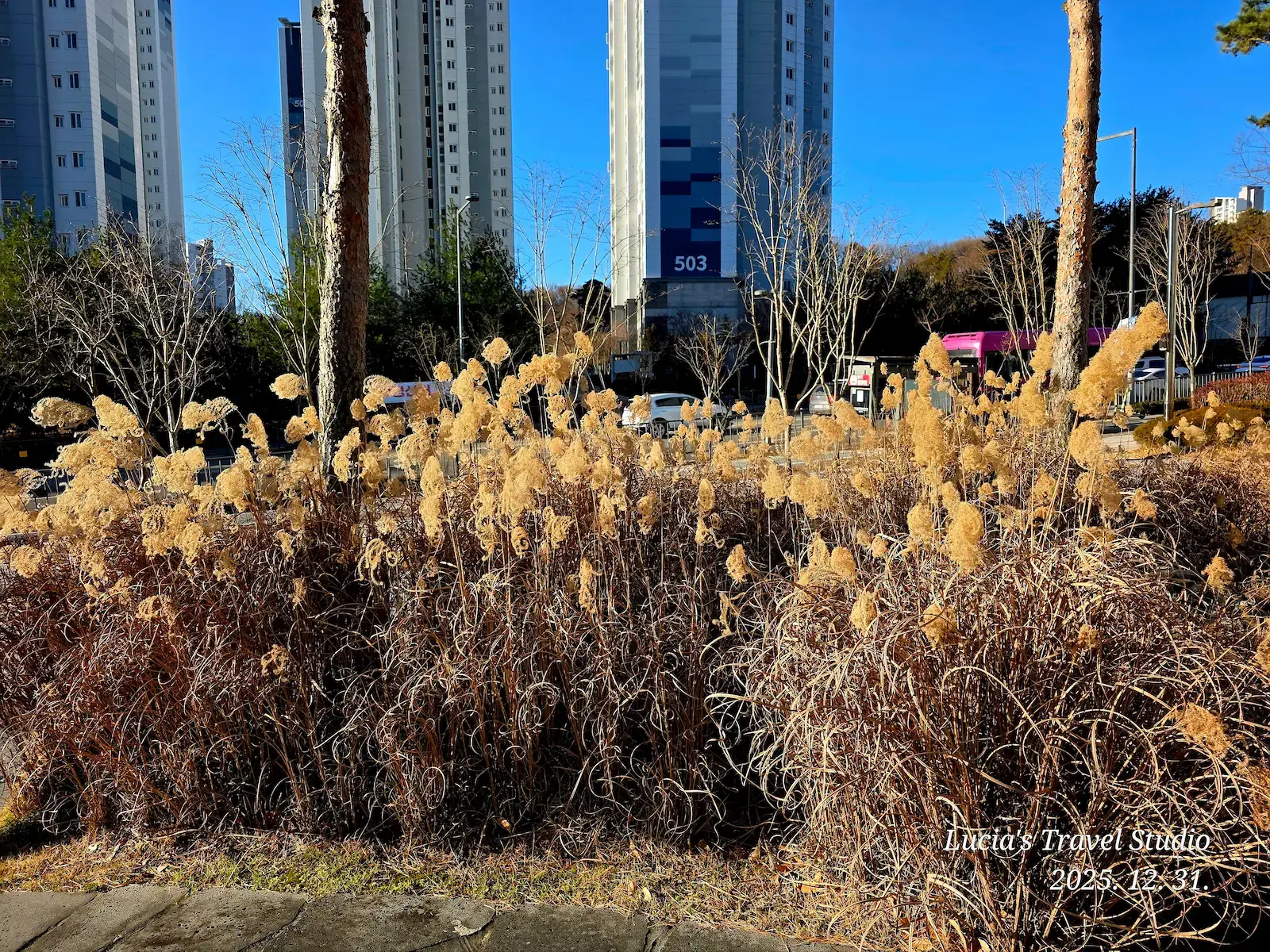 Korea National Health Checkup
