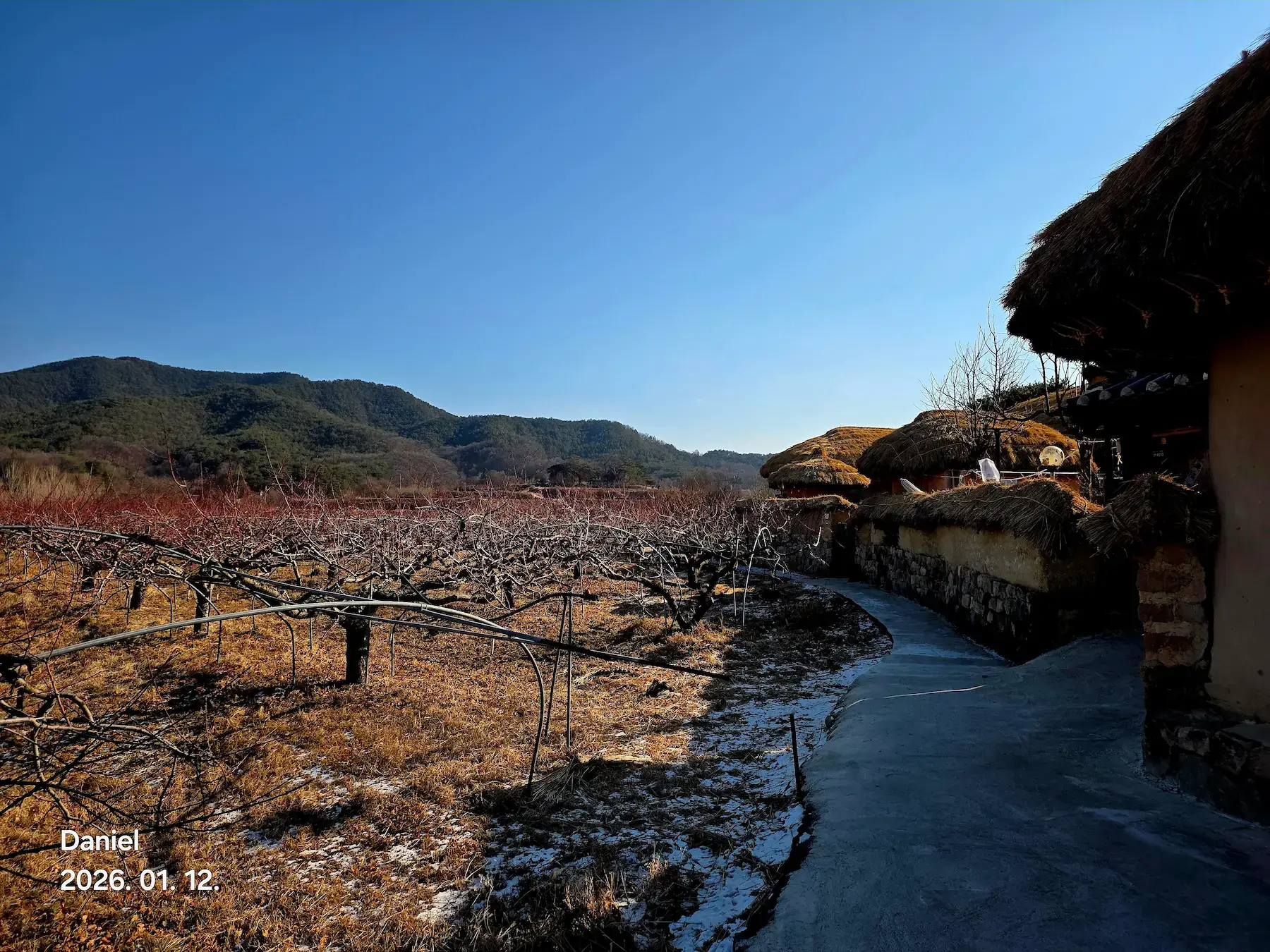 Andong Hahoe Village Guide: A Timeless Journey into Korea’s Living Past