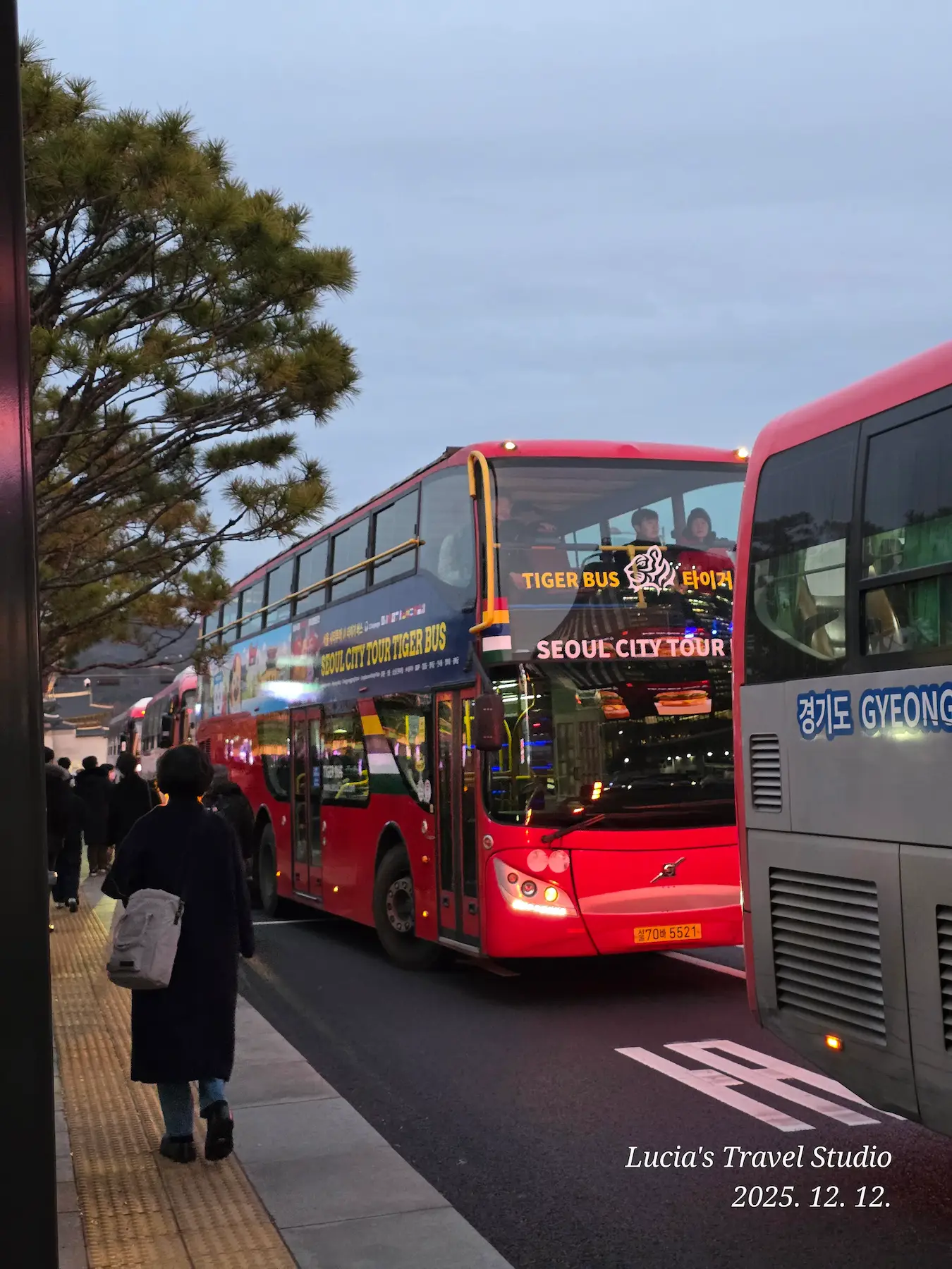 Korean Driving Rules