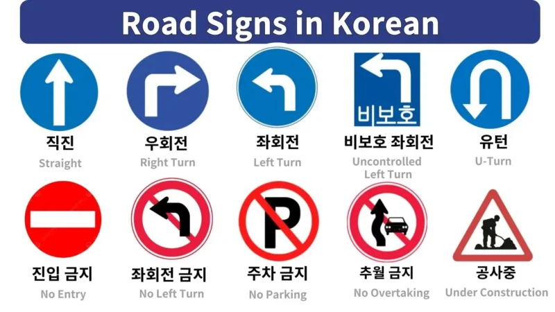 Korean Driving Rules for Foreign Visitors