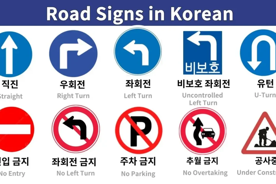 Korean Driving Rules for Foreign Visitors