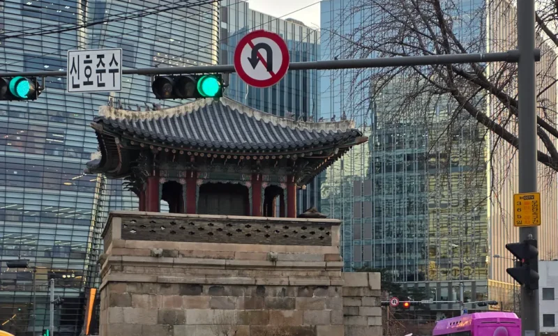 Korean Driving Rules