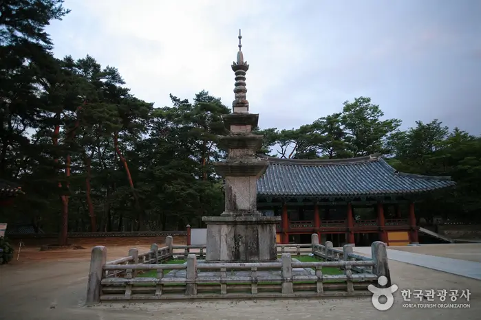 Gimbap Festival Gimcheon 2025