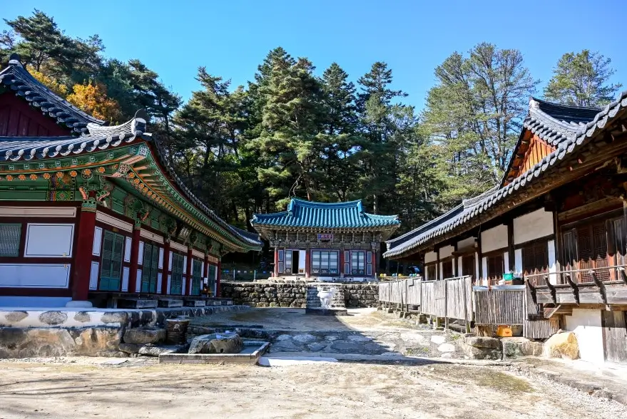 Gimbap Festival Gimcheon 2025