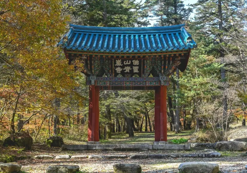 Gimbap Festival Gimcheon 2025