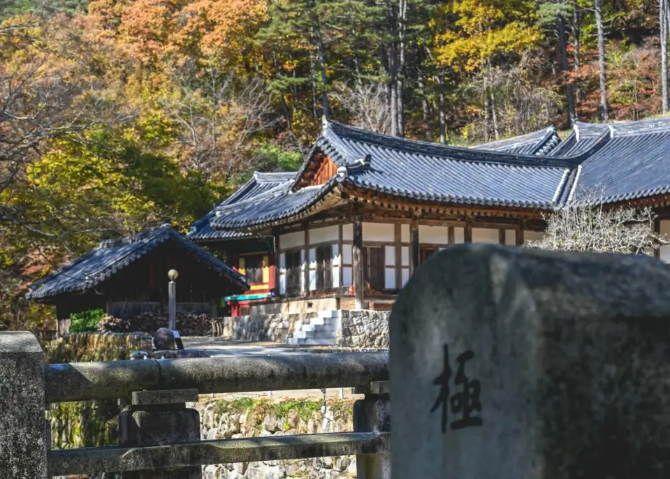 2025 Gimcheon Gimbap Festival & 1-Night, 2-Day Travel Itinerary