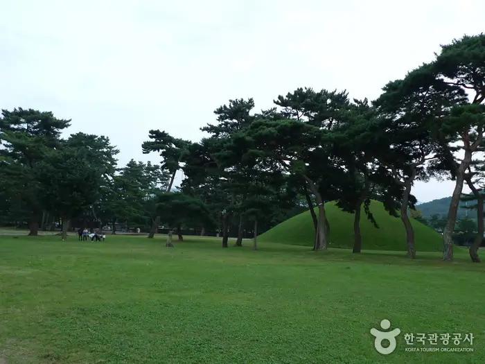 Gyeongju Travel Guide 2025