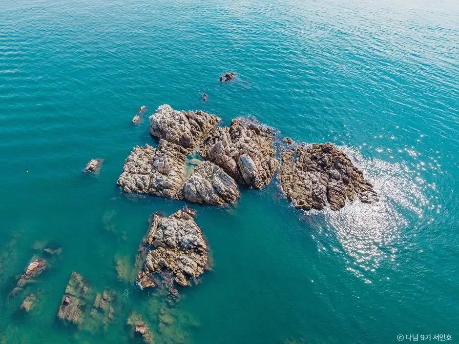 Gyeongju Travel Guide 2025