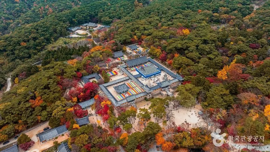Gyeongju Travel Guide 2025