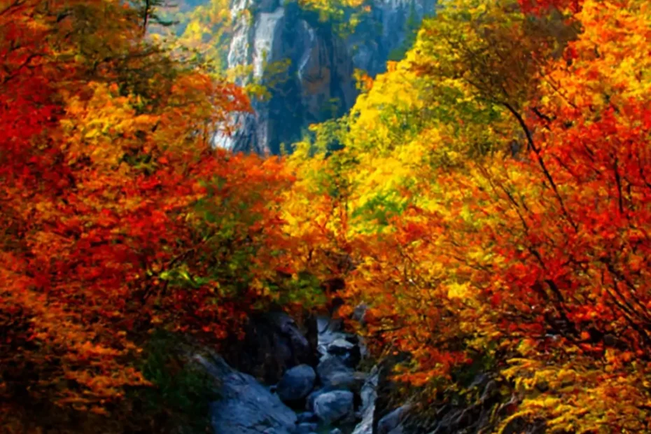 Seoraksan Hiking GUide 2025