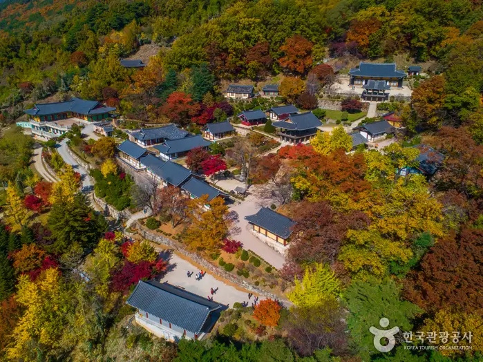 Yeongju Travel Guide