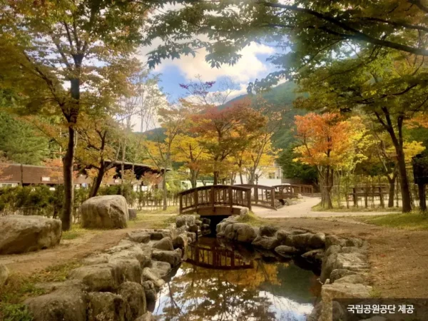 Yeongju Travel Guide