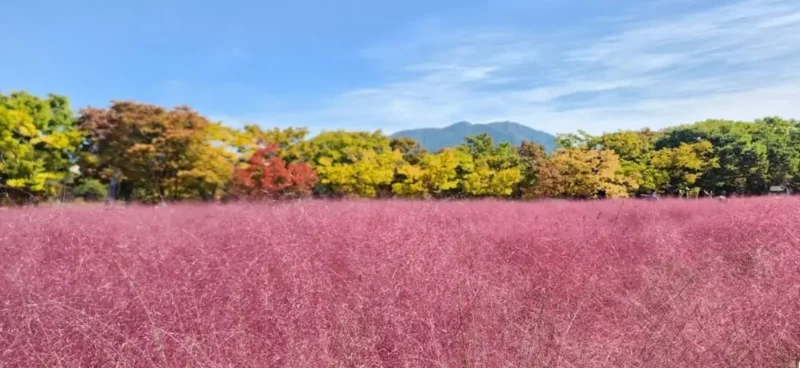 Seoul October Travel 2025