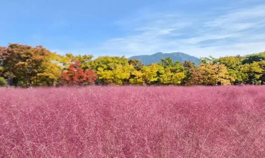 Seoul October Travel 2025