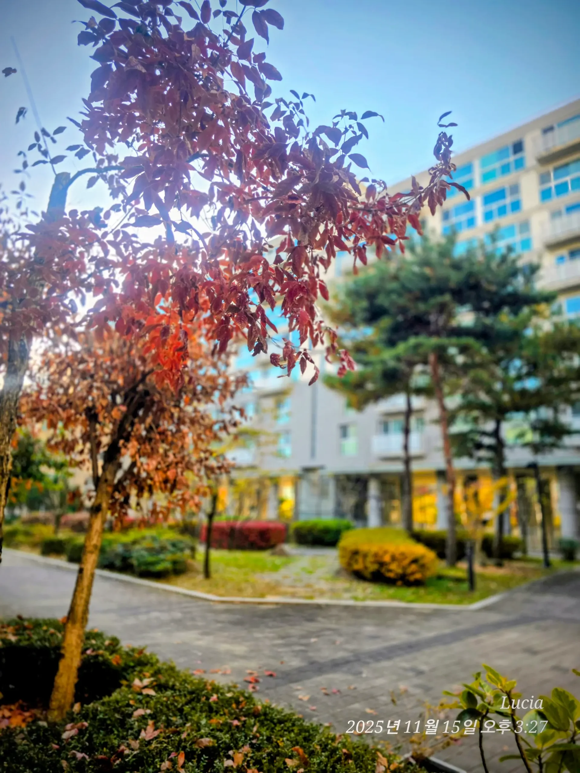 Korean Apartment Life