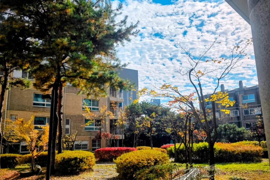 Korean Apartment Life