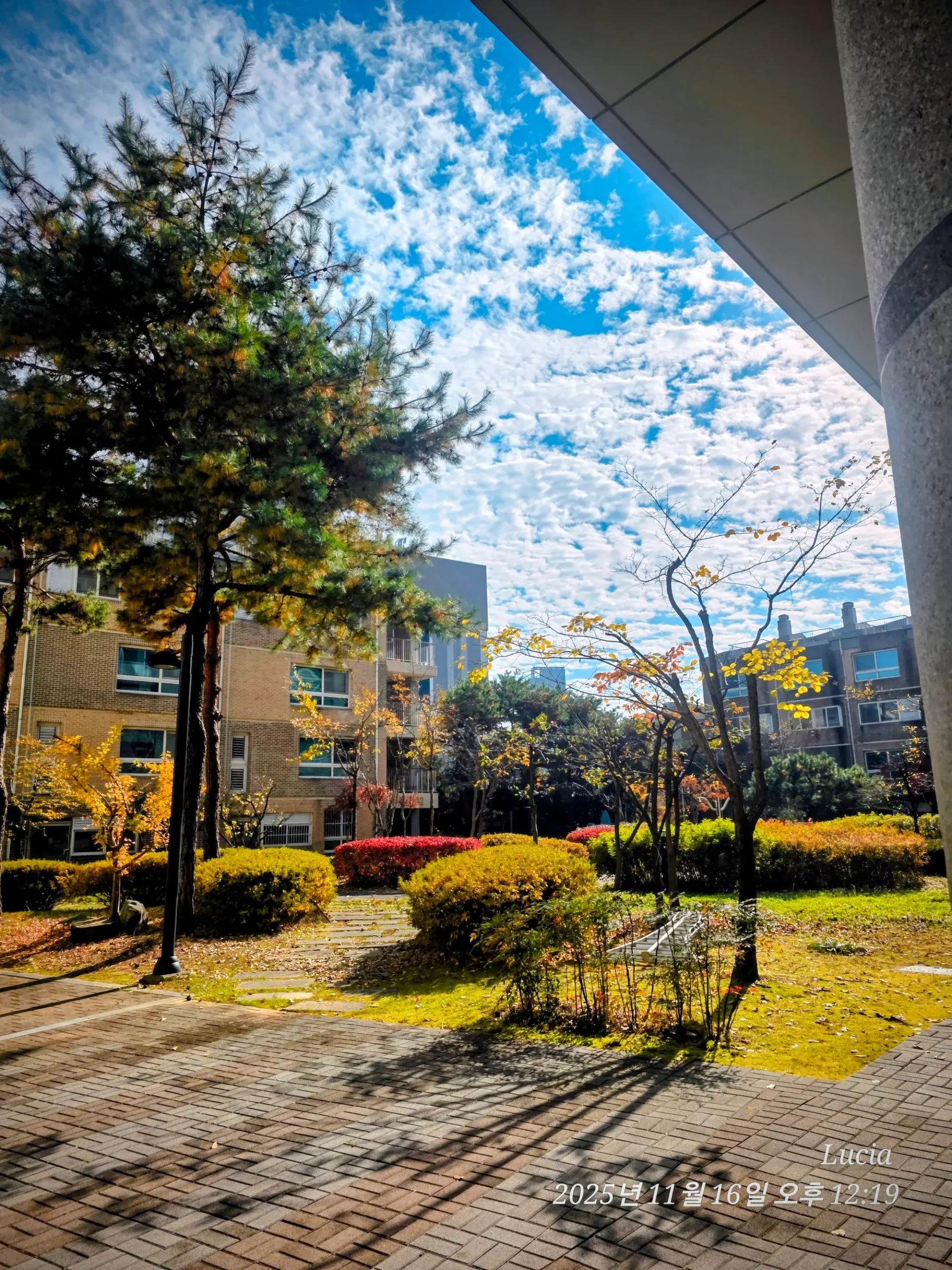 Korean Apartment Life