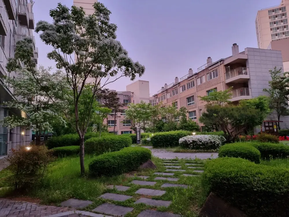 Korean Apartment Life