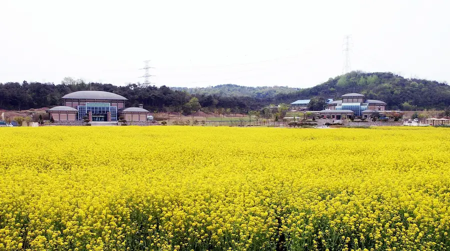 Jeongeup Travel Guide